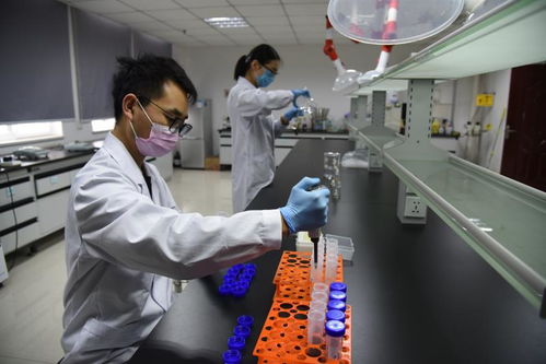 以技術為盾，護航人民健康 記開封市食藥檢驗所的疫情逆行者